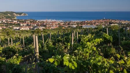 Pogled na Izolo (foto: Jaka Ivančič)